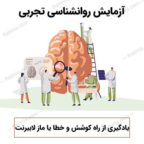 آزمایش یادگیری از راه کوشش و خطا یا ماز لابیرنت